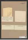 Coscinodiscus fragilissimus Grun. (de-Toni-Nr.: Genus 202, Species 4985) Zeichnungen Sammlung Grunow Nr. 8600 (NHMW-BOT-W0378258)